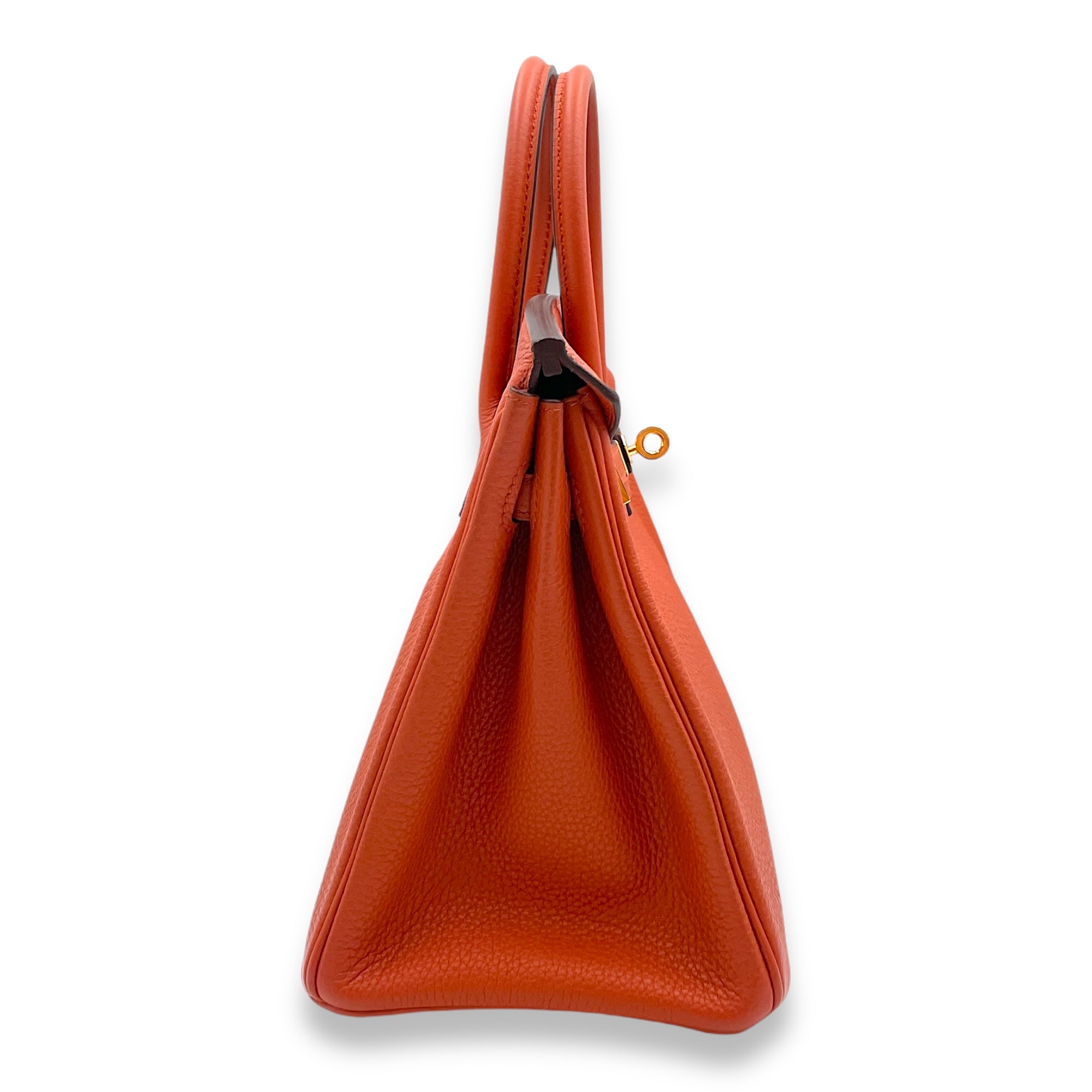 Birkin 25 Tevre Bative in Togo, Gold hardware - Image 4