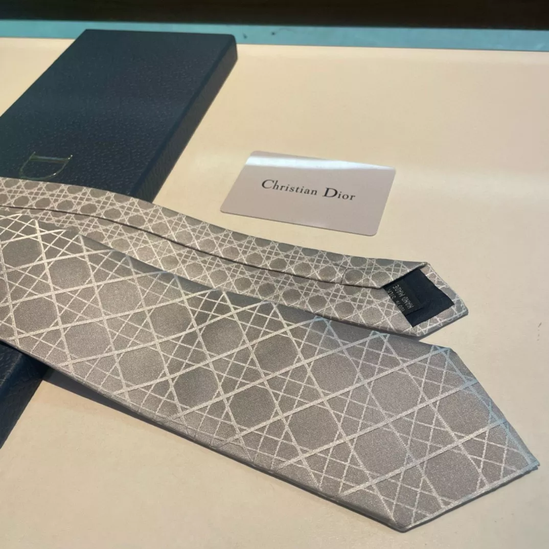 Minimalist 757 Christian Dior Necktie - Image 4